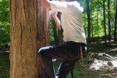 20190612_123917
